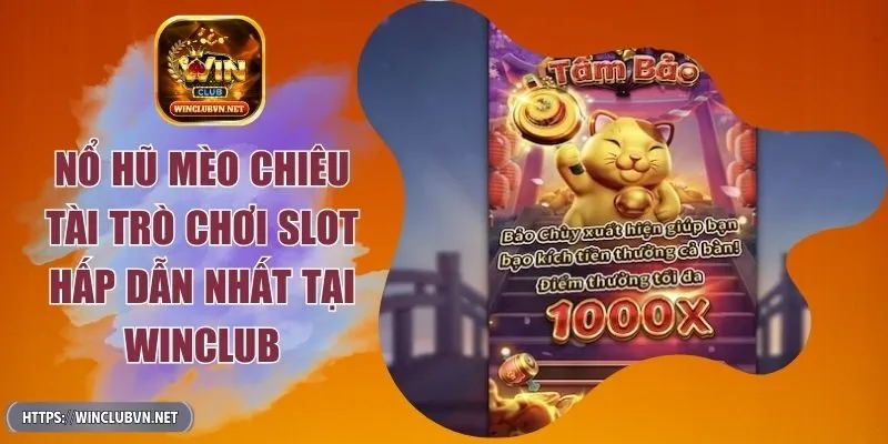 no-hu-meo-chieu-tai